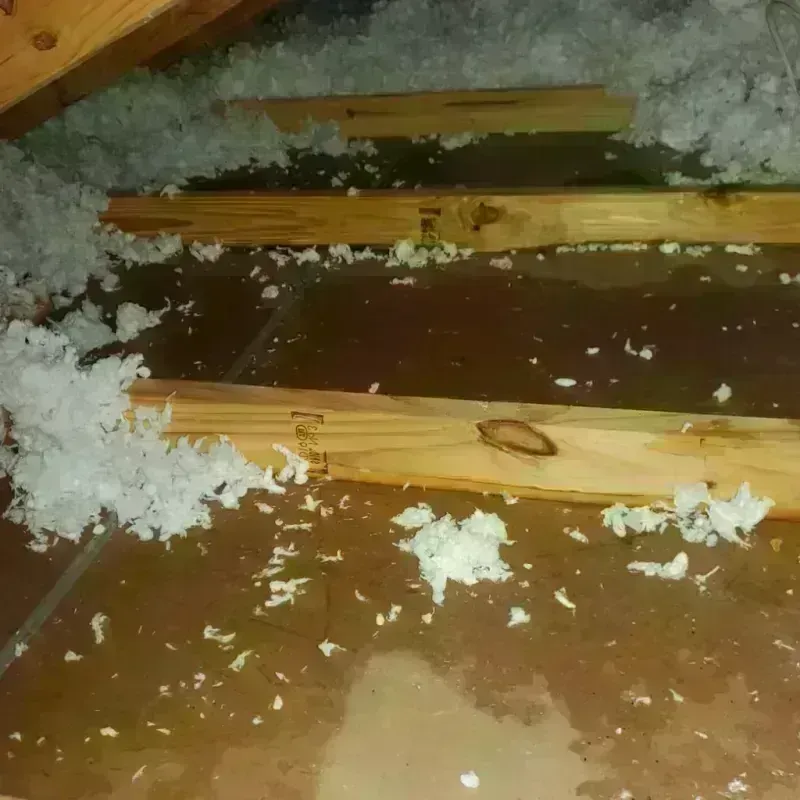 Attic Water Damage in Oliver Springs, TN